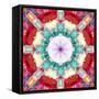 Photographic Mandala from Flowers-Alaya Gadeh-Framed Stretched Canvas
