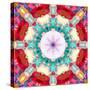 Photographic Mandala from Flowers-Alaya Gadeh-Stretched Canvas