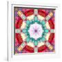 Photographic Mandala from Flowers-Alaya Gadeh-Framed Photographic Print