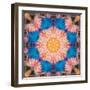 Photographic Mandala Ornament from Flowers-Alaya Gadeh-Framed Photographic Print