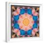 Photographic Mandala Ornament from Flowers-Alaya Gadeh-Framed Photographic Print