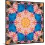 Photographic Mandala Ornament from Flowers-Alaya Gadeh-Mounted Photographic Print