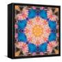 Photographic Mandala Ornament from Flowers-Alaya Gadeh-Framed Stretched Canvas