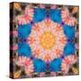 Photographic Mandala Ornament from Flowers-Alaya Gadeh-Stretched Canvas
