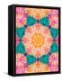 Photographic Mandala Ornament from Flowers-Alaya Gadeh-Framed Stretched Canvas