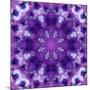 Photographic Mandala Ornament in Purple Tones-Alaya Gadeh-Mounted Photographic Print