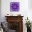 Photographic Mandala Ornament in Purple Tones-Alaya Gadeh-Photographic Print displayed on a wall