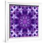 Photographic Mandala Ornament in Purple Tones-Alaya Gadeh-Framed Photographic Print