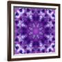 Photographic Mandala Ornament in Purple Tones-Alaya Gadeh-Framed Photographic Print