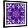 Photographic Mandala Ornament in Purple Tones-Alaya Gadeh-Framed Photographic Print