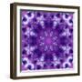 Photographic Mandala Ornament in Purple Tones-Alaya Gadeh-Framed Photographic Print