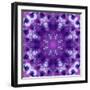 Photographic Mandala Ornament in Purple Tones-Alaya Gadeh-Framed Photographic Print