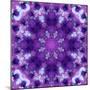 Photographic Mandala Ornament in Purple Tones-Alaya Gadeh-Mounted Photographic Print