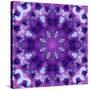 Photographic Mandala Ornament in Purple Tones-Alaya Gadeh-Stretched Canvas