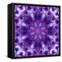 Photographic Mandala Ornament in Purple Tones-Alaya Gadeh-Framed Stretched Canvas