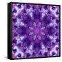 Photographic Mandala Ornament in Purple Tones-Alaya Gadeh-Framed Stretched Canvas