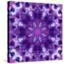 Photographic Mandala Ornament in Purple Tones-Alaya Gadeh-Stretched Canvas