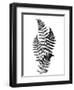 Photographic Study Of Fern Leaves-Bettmann-Framed Photographic Print