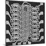 Photographically Produced Computer Circuit Magnified 40 Times-Henry Groskinsky-Mounted Photographic Print