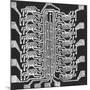 Photographically Produced Computer Circuit Magnified 40 Times-Henry Groskinsky-Mounted Photographic Print