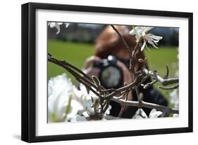 Photographing a Flower, 2020,(Photograph)-Anthony Butera-Framed Giclee Print