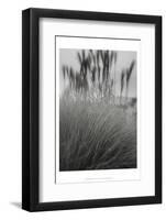 Photography/Landscape 180-DAG, Inc-Framed Photographic Print