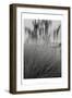 Photography/Landscape 180-DAG, Inc-Framed Photographic Print