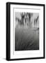 Photography/Landscape 180-DAG, Inc-Framed Photographic Print