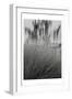 Photography/Landscape 180-DAG, Inc-Framed Photographic Print