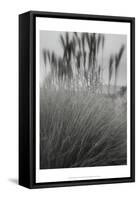 Photography/Landscape 180-DAG, Inc-Framed Stretched Canvas