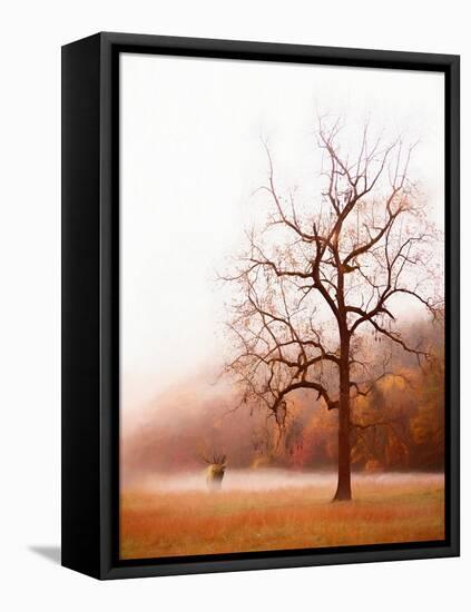 Photography Study Elk in the Mist-null-Framed Stretched Canvas