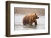 Photography Study Shake it Off-null-Framed Photographic Print