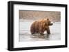 Photography Study Shake it Off-null-Framed Photographic Print