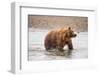 Photography Study Shake it Off-null-Framed Photographic Print