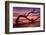 Photography Study Sunset Beach-null-Framed Photographic Print