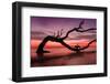 Photography Study Sunset Beach-null-Framed Photographic Print