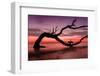 Photography Study Sunset Beach-null-Framed Photographic Print