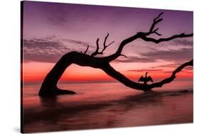 Photography Study Sunset Beach-null-Stretched Canvas