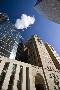 Just the Print