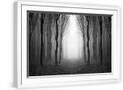 Chelsea White