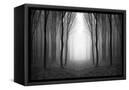Canvas Black