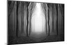 Wood Mount