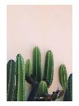 Naked Cactus-PhotoINC Studio-Art Print