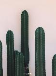 Naked Cactus-PhotoINC Studio-Art Print