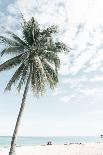 Palm Tree at the Beach 2-Photolovers-Framed Stretched Canvas