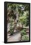 Essential Black
