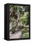 Canvas Black