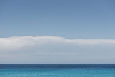 Palm Tree at the Beach 2-Photolovers-Laminated Photographic Print