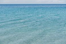 Palm Tree at the Beach 2-Photolovers-Photographic Print