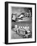 Photomechanical Prints, 19th Century-Science Photo Library-Framed Photographic Print